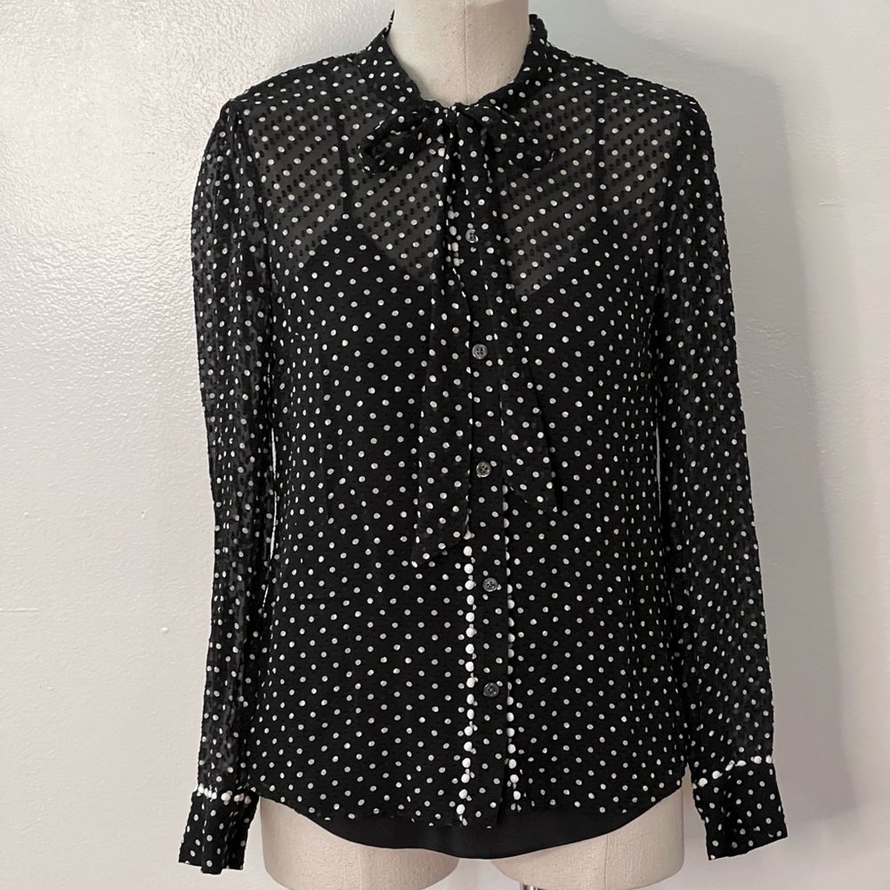 JCrew Swiss Dot Silk Button Down Blouse with Detachable Camisole
